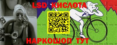 прущие грибы Пушкино
