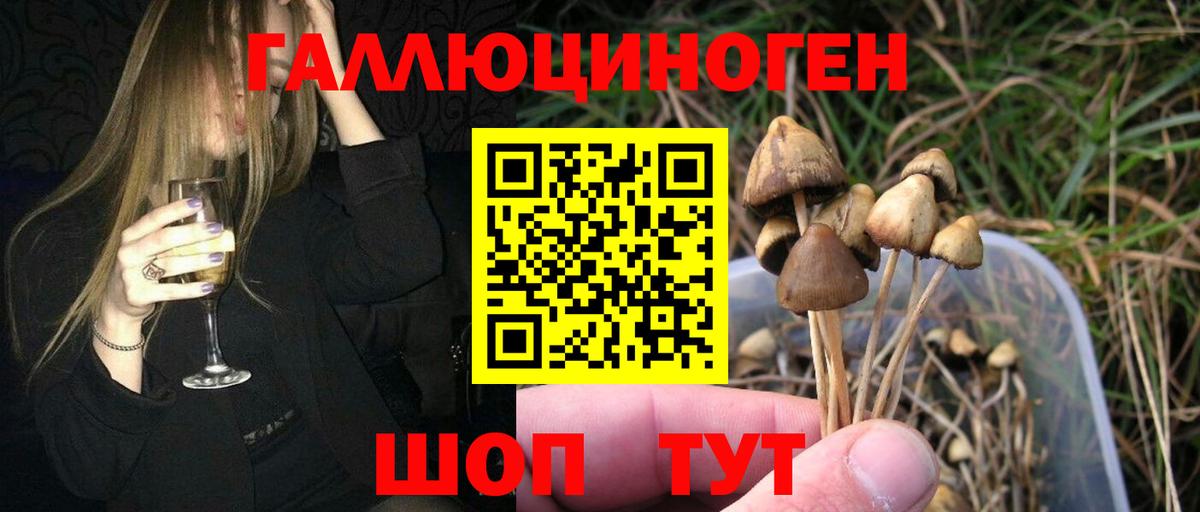 Галлюциногенные грибы мицелий Саратов