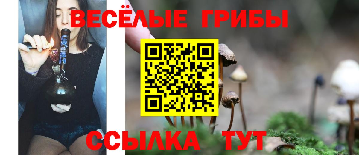 Псилоцибиновые грибы GOLDEN TEACHER  где продают наркотики  Псилоцибиновые грибы Cubensis  Саратов  Вход с VPN 